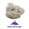 Molly Astral Light