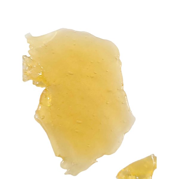 Shattered Great White Shark